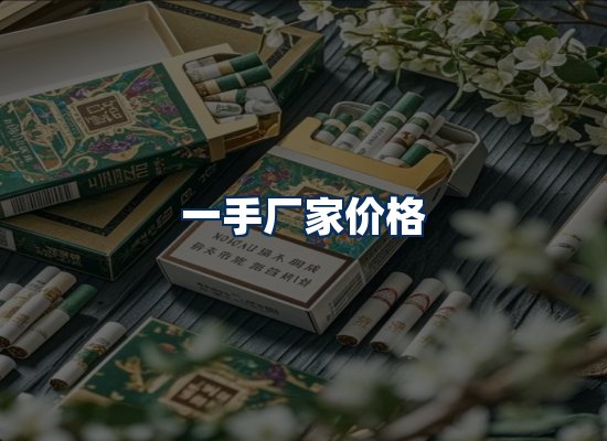 专业团队办公环境